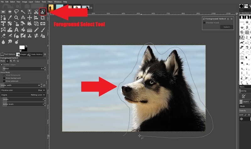 draw outline with foreground select tool
