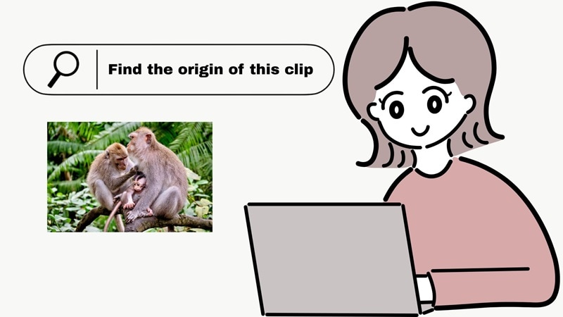 find original clip with reverse search