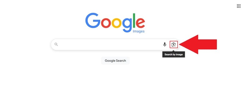 click the camera icon on google