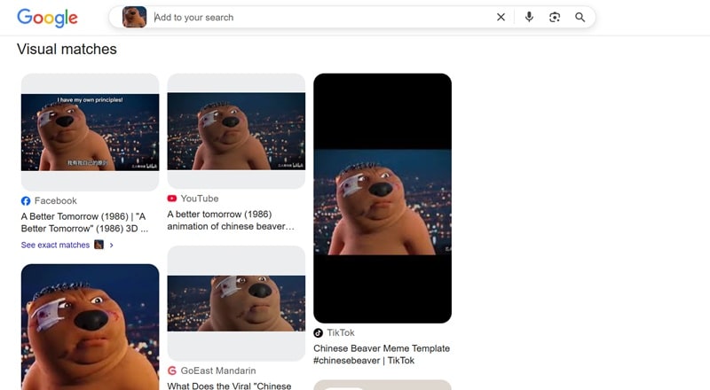 results of reverse search on google