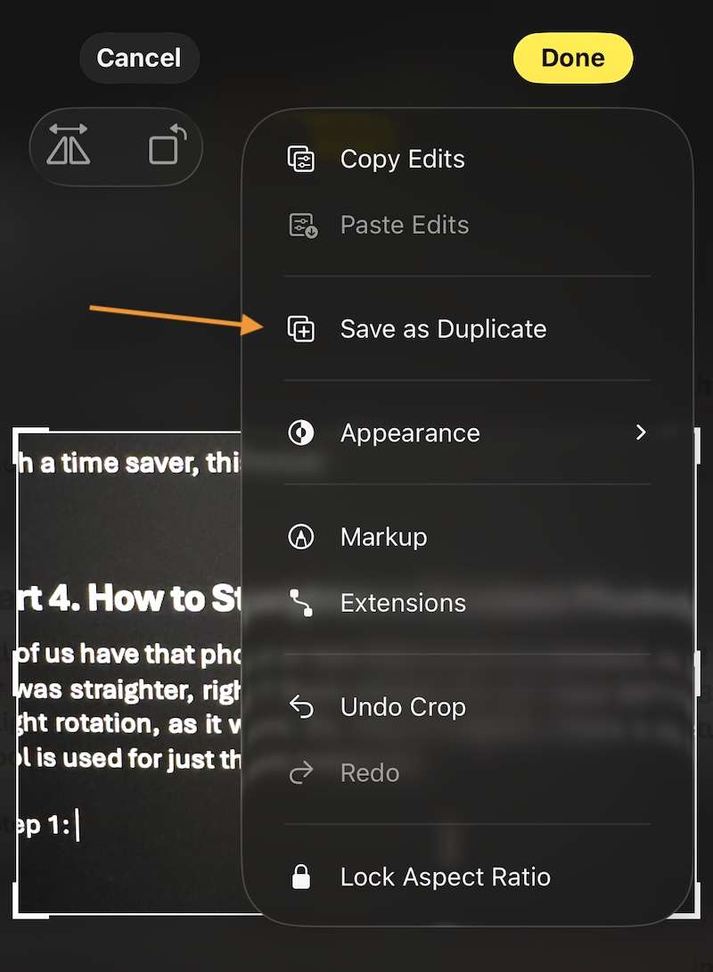 save as duplicate