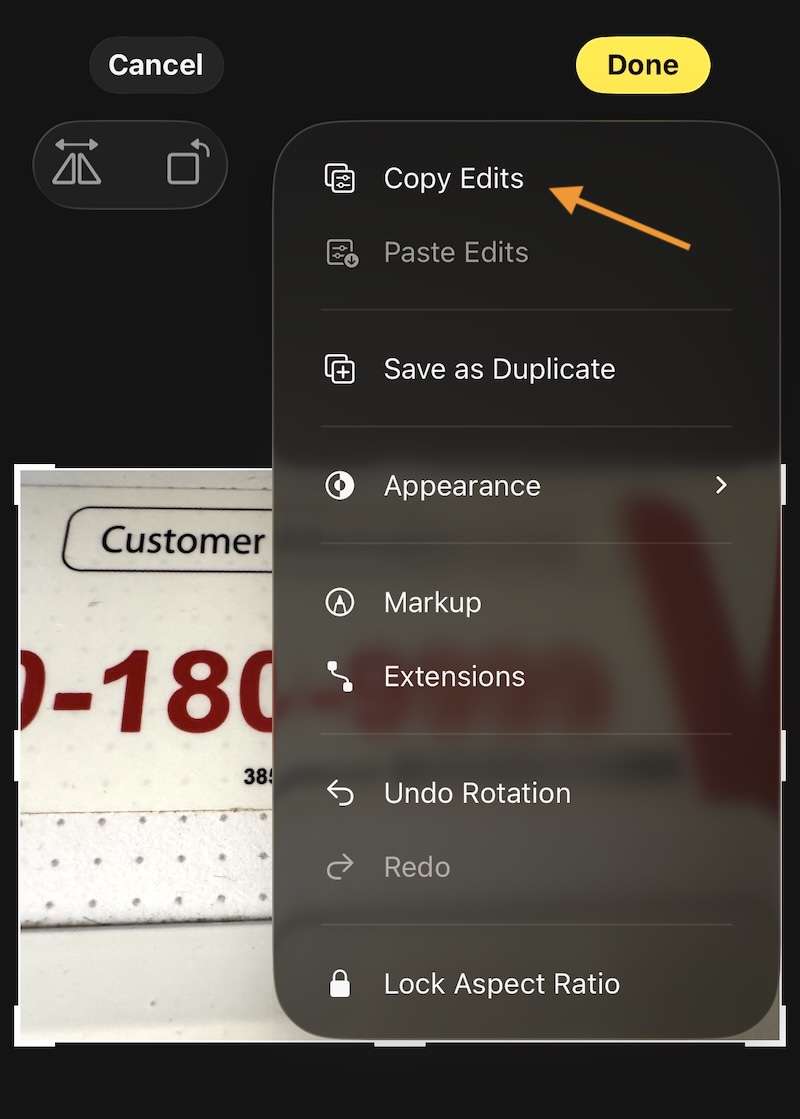 copy edits option