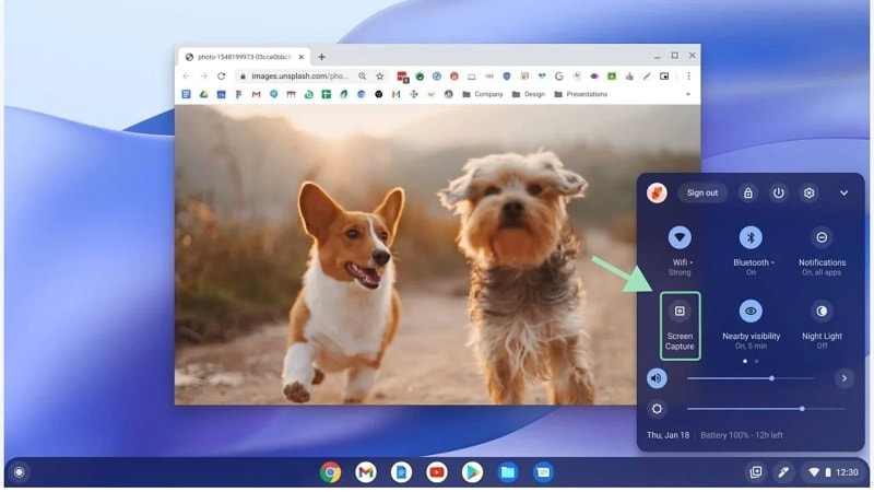 screen capture tool on chromebook