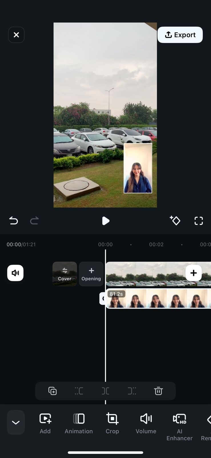 picture in picture filmora app