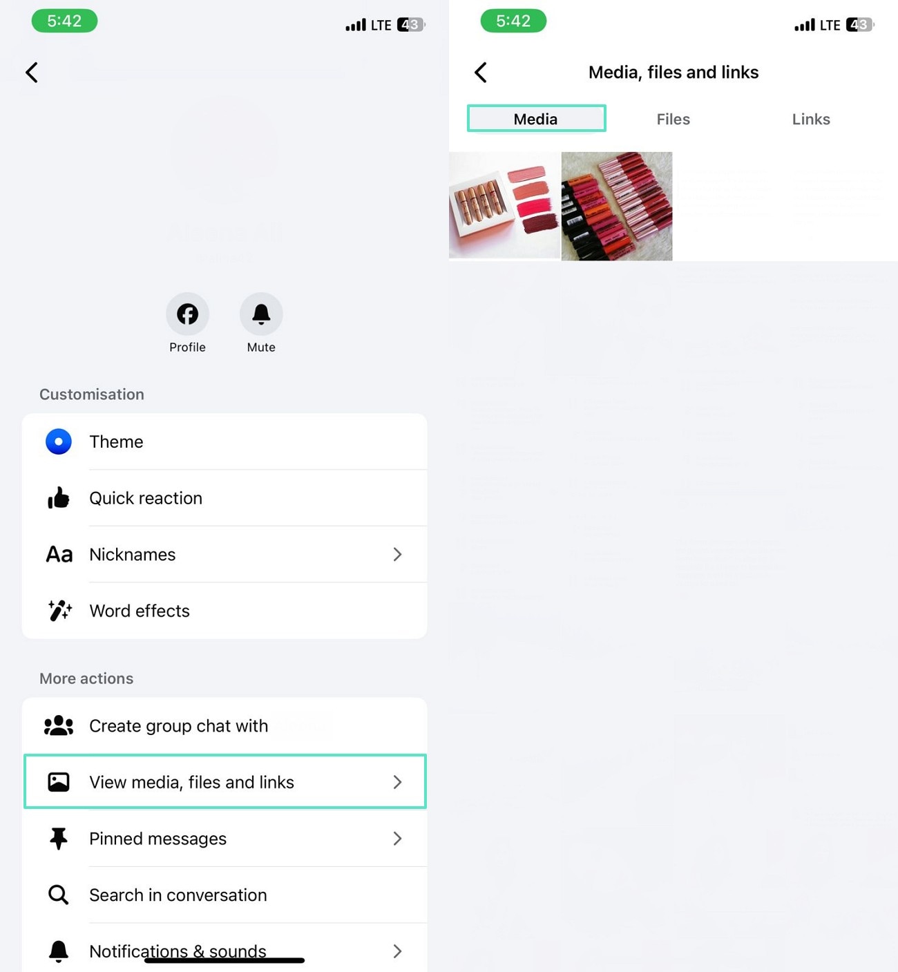 Step 2 on mobile: Accessing the 'View Media, Files and Links' tab to see all shared photos and videos in Messenger