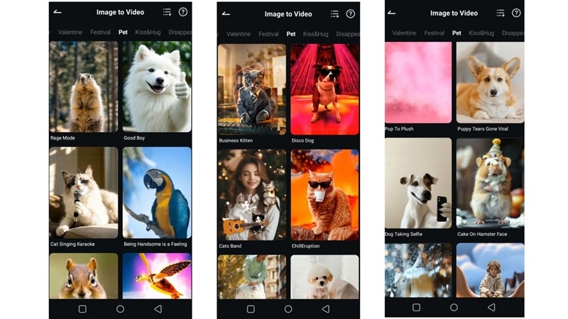 filmora image to video pet templates