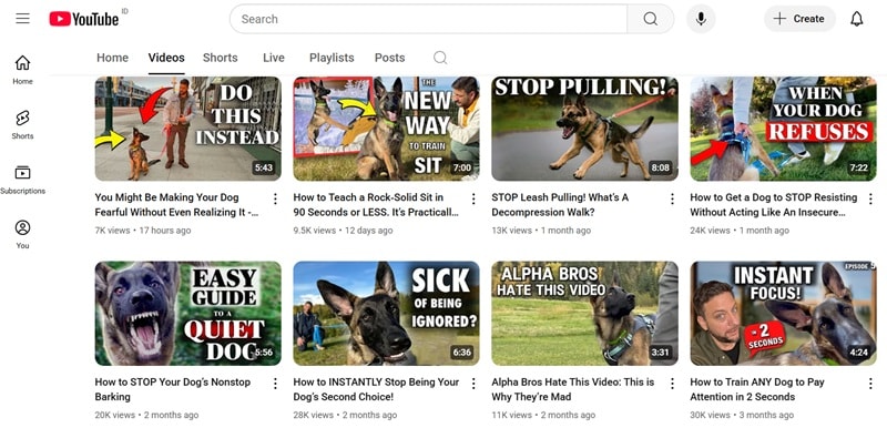 zak george dog youtube trainers