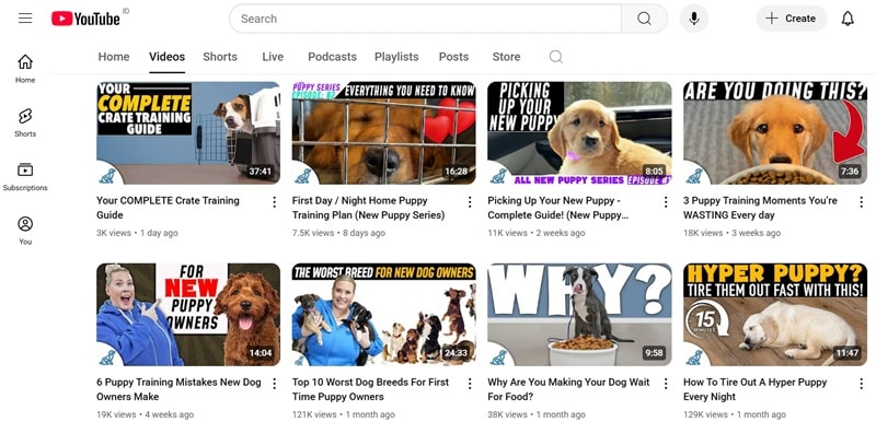 mccann dog youtube trainers