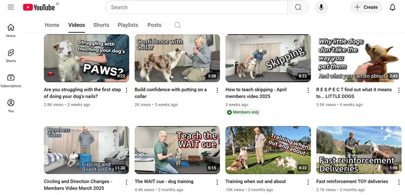kikopup dog youtube trainers