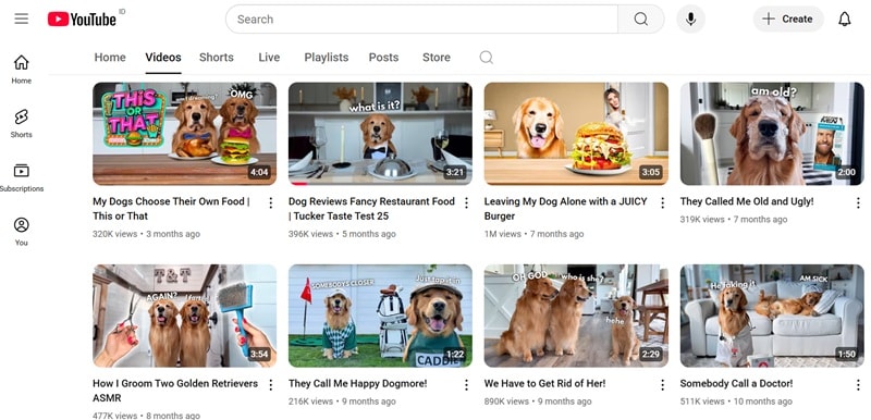 tucker budzyn dog youtube videos