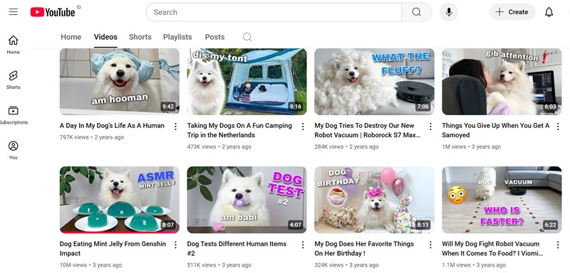 mayapolarbear dog youtube videos