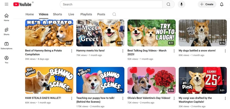hammy and olivia dog youtube videos