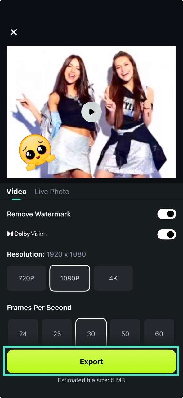 export final animation filmora app