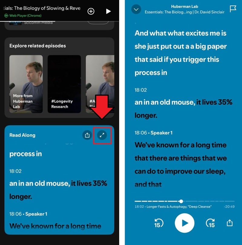 spotify podcast transcription on mobile