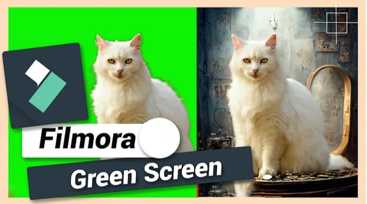 use green screen effect in Wondershare Filmora