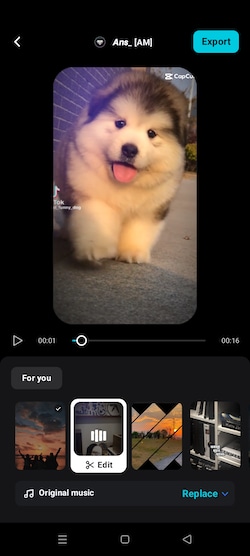 select capcut autocut template
