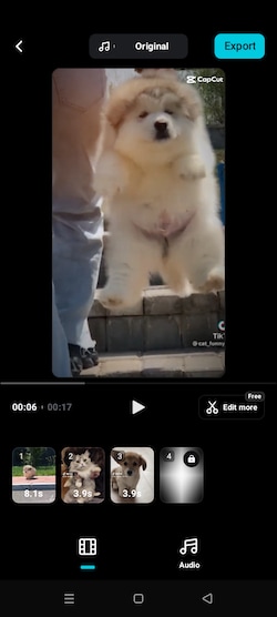 refine capcut autocut