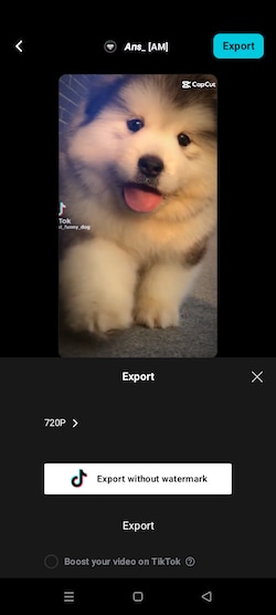 export capcut autocut