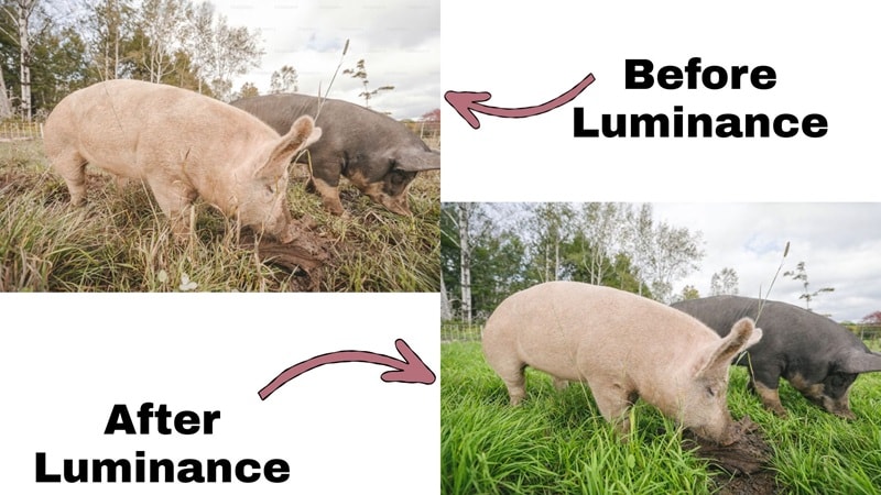 editing photos by changing luminance
