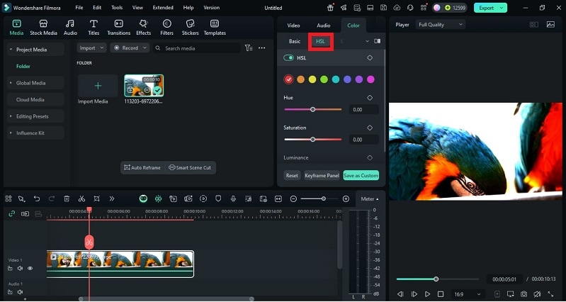 applying filmora hsl