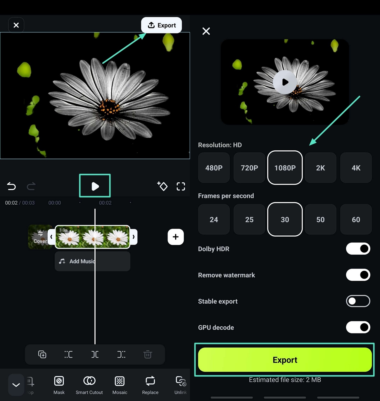 preview results export image without background
