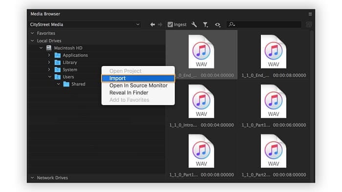 Importar arquivos de áudio no Adobe Premiere Pro