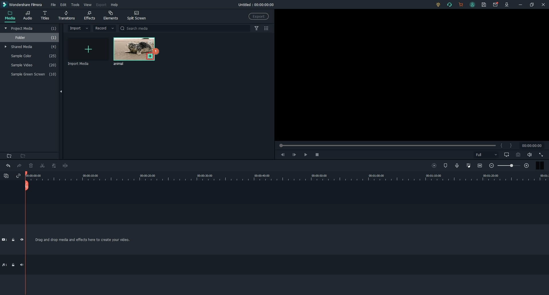 import video to stabilize timeline