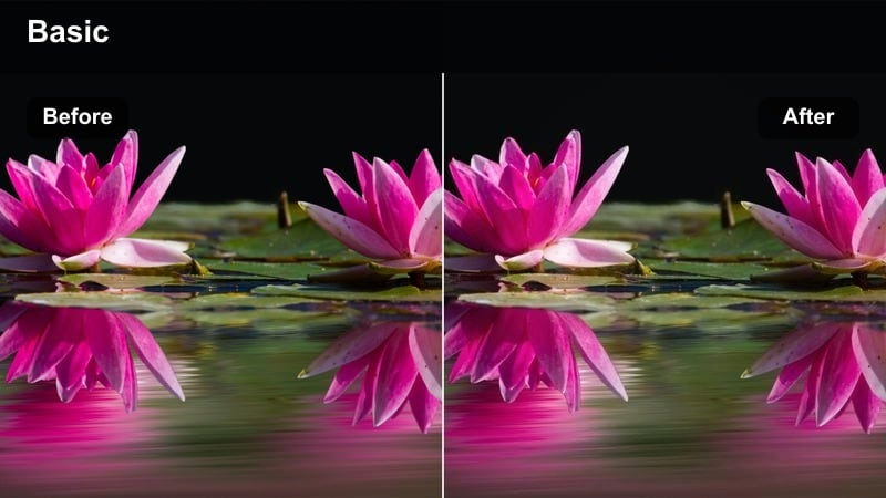 Creator filming in a cozy indoor space with warm but balanced lighting.