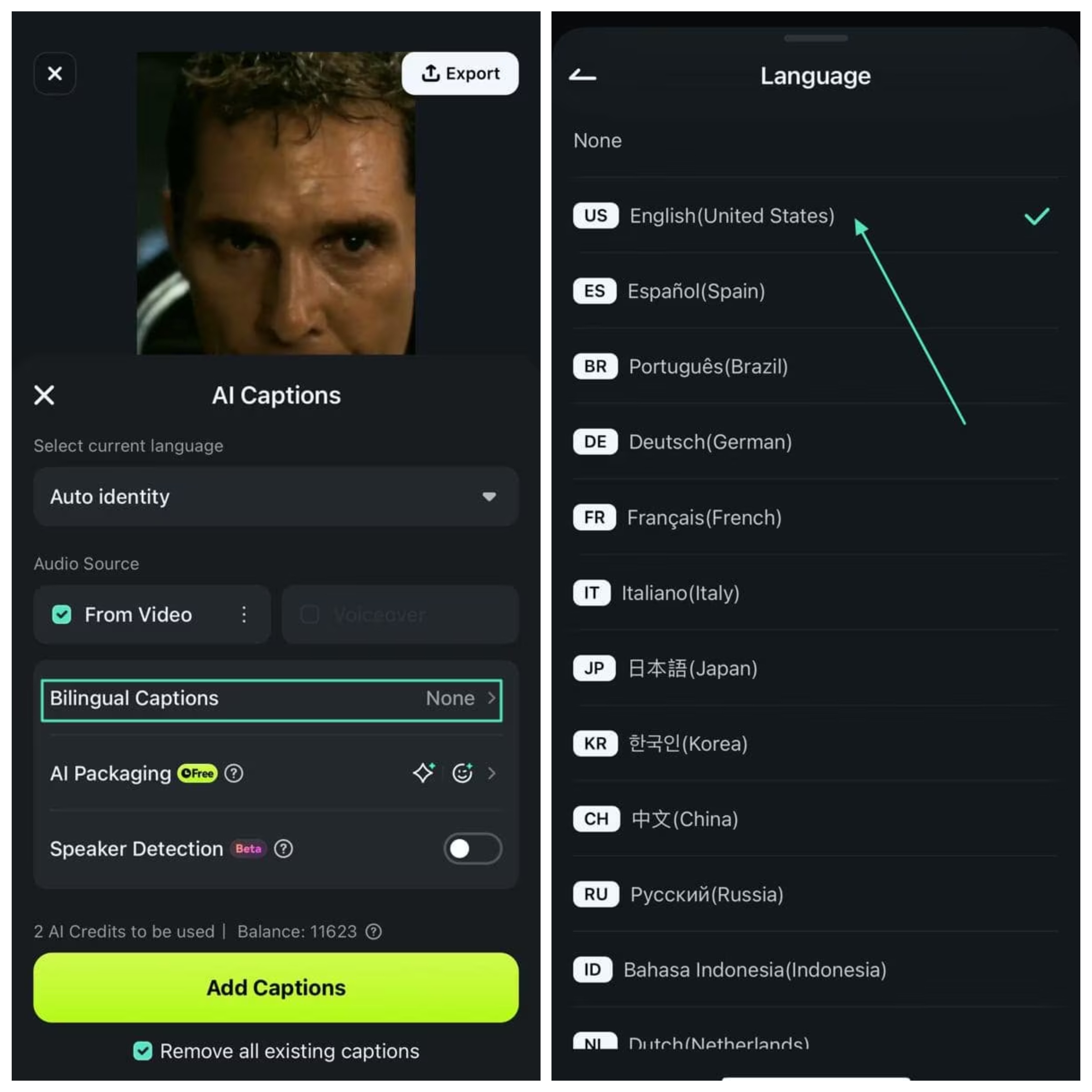 select language filmora ai captions
