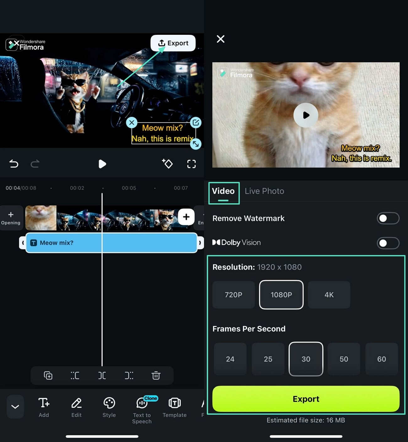 export final video filmora app