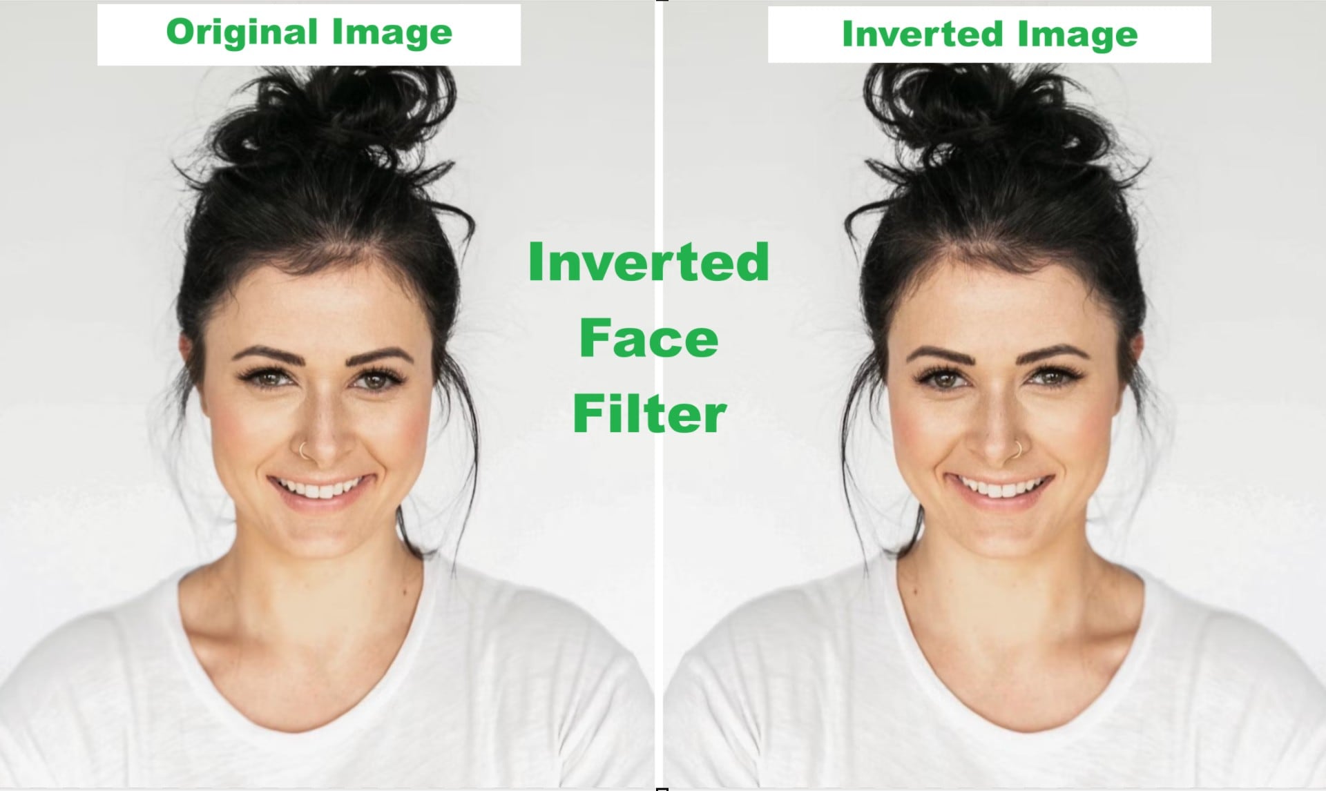 inverted face filter online
