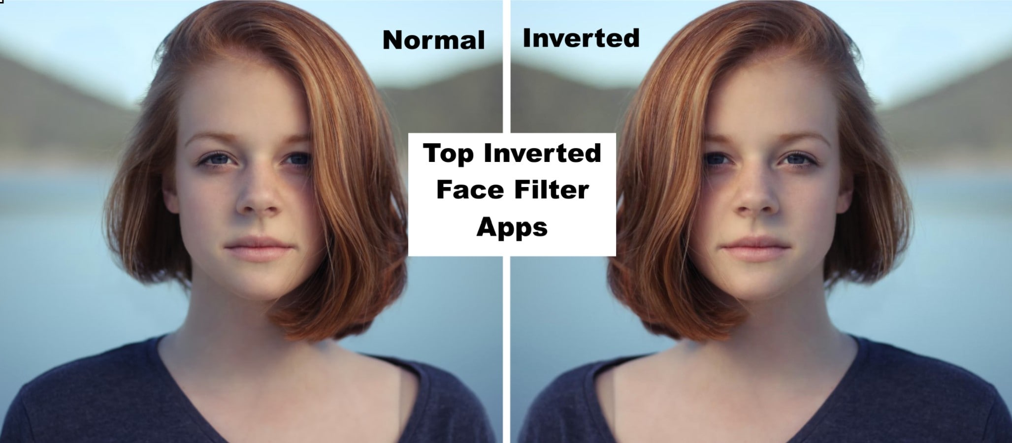 face inverted filter