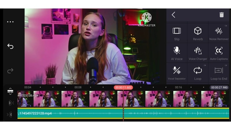 audio features in kinemaster