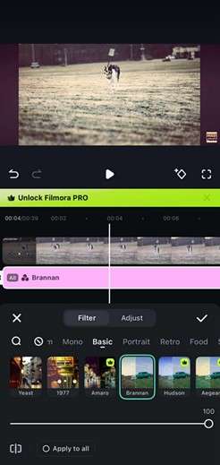 filmora filters