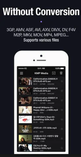 mkv video player ios