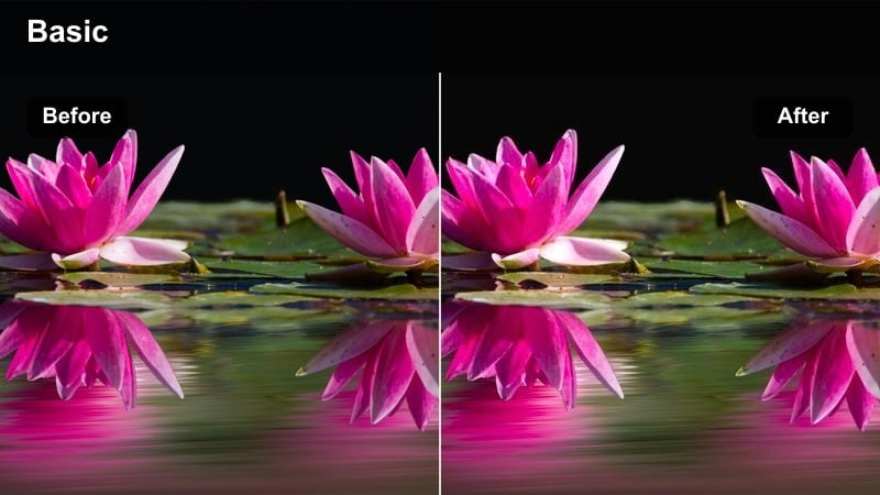 Person in the backseat of a car at night with warm interior light and cool city lights outside.