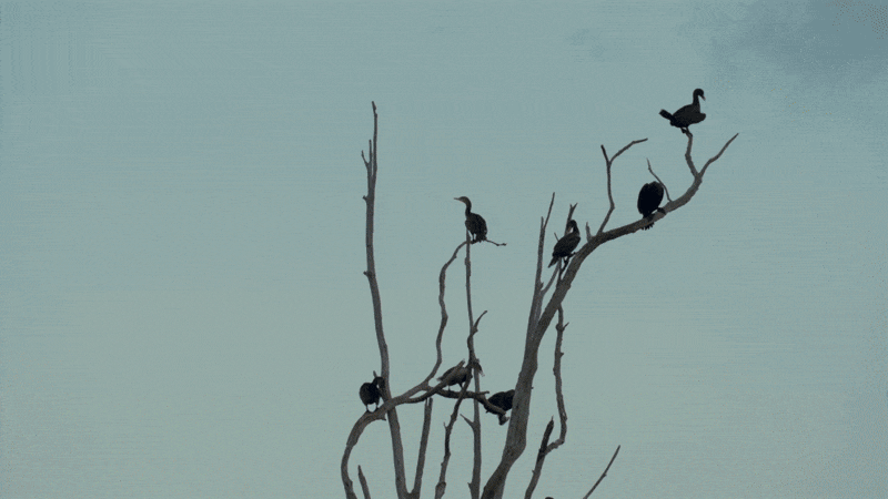 adjusting lens flare on filmora