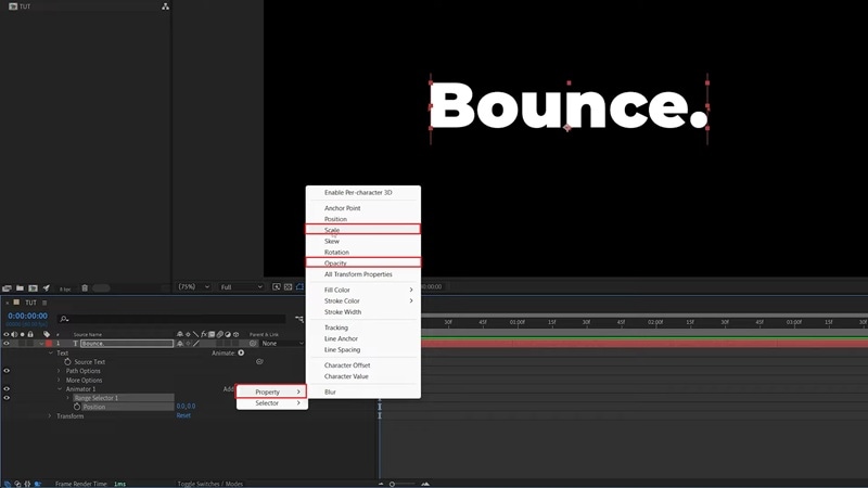 select scale and opacity