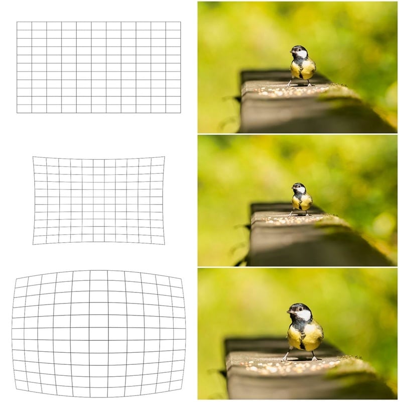 lens distortion types