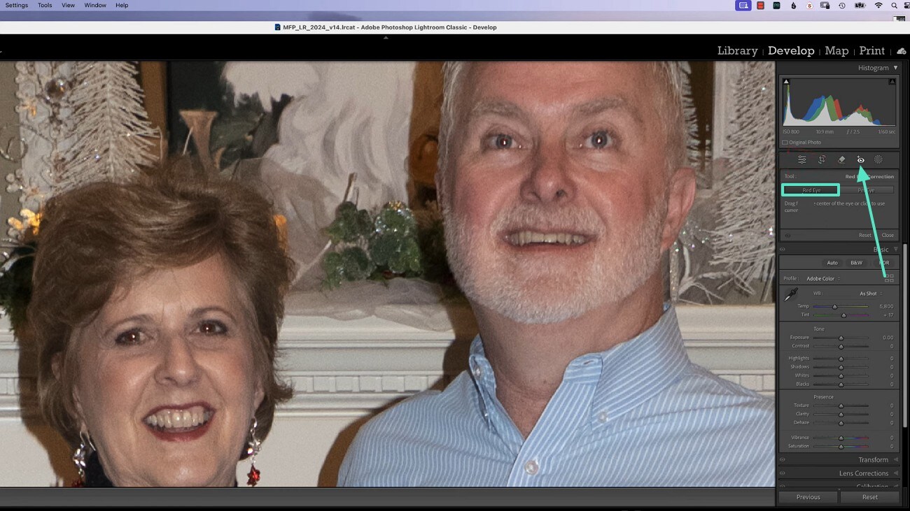 enter red eye section