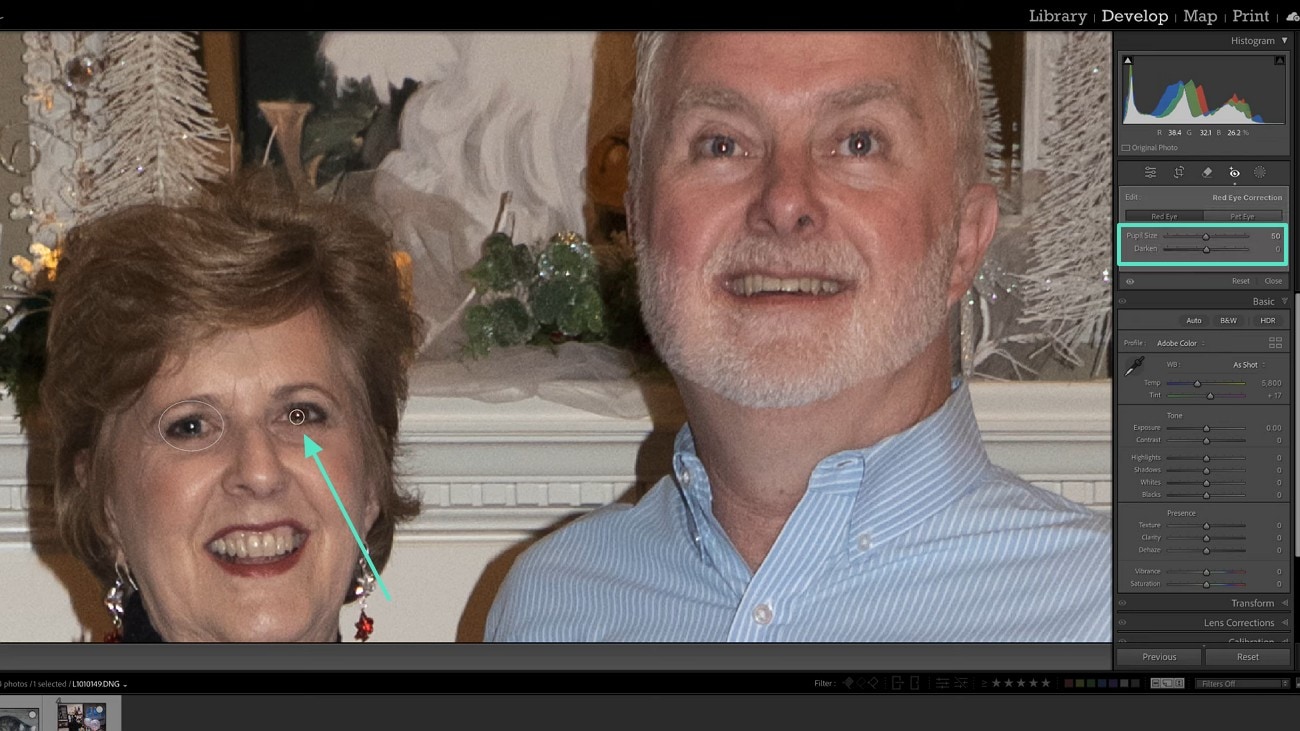 adjust pupil size color