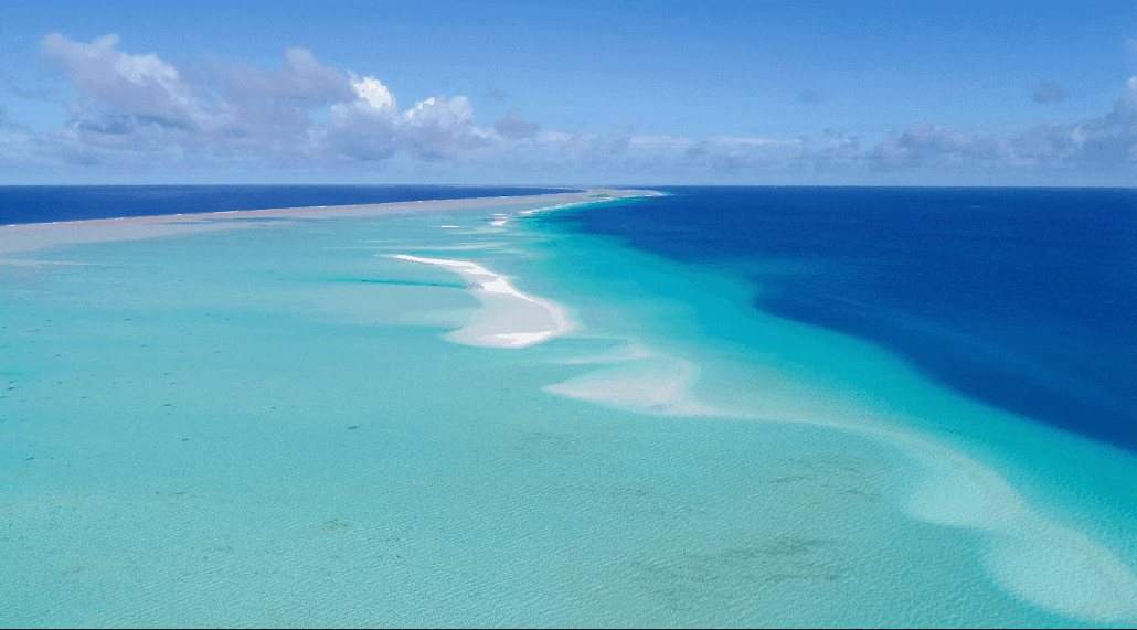 AI filter in filmora