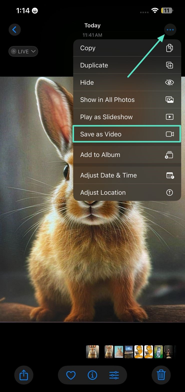 save image as video ios device