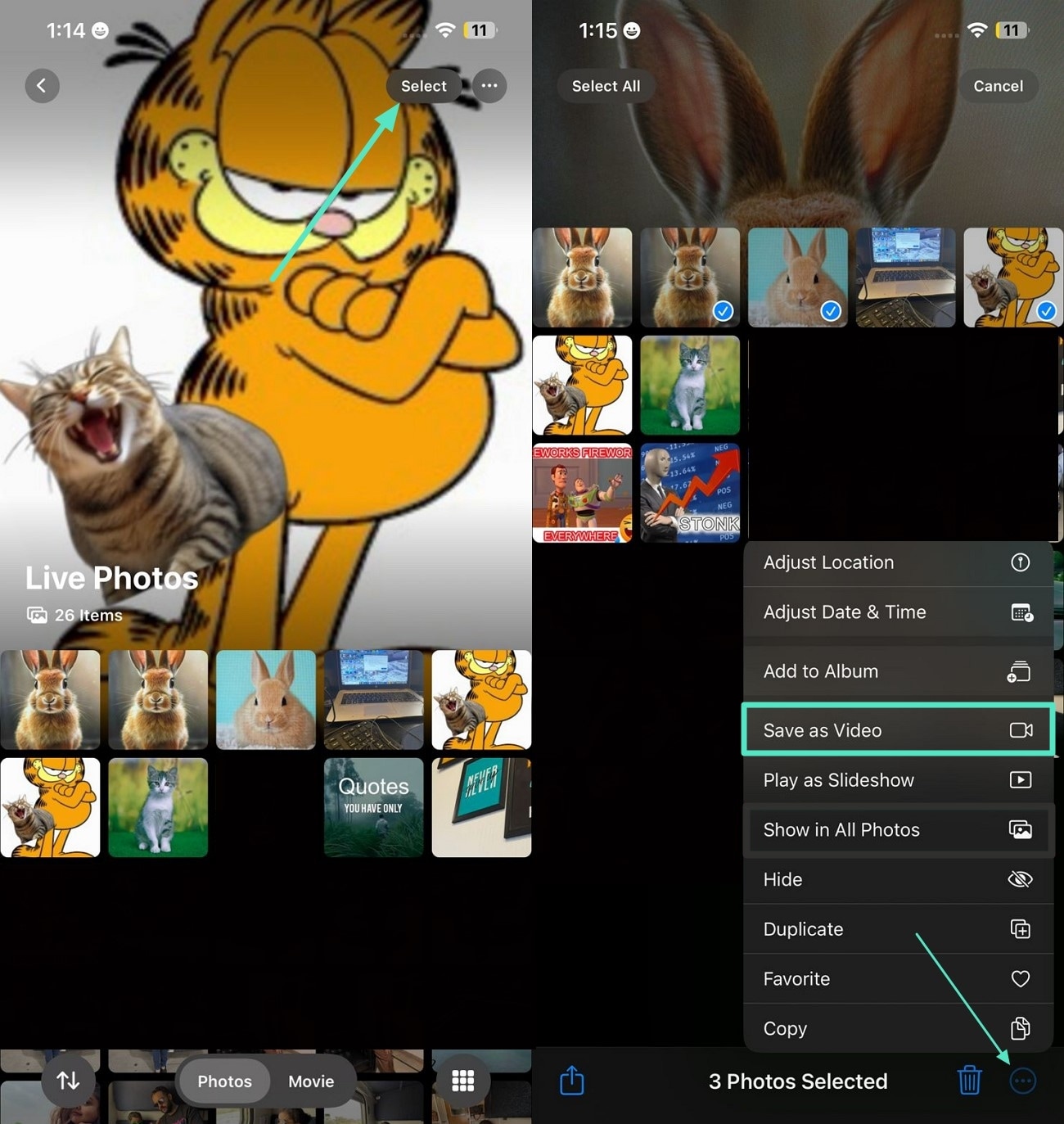 locate and select show in all photos