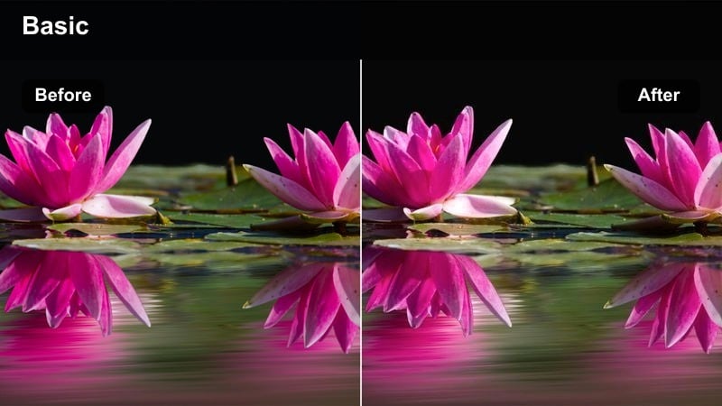 Cozy living room scene with warm cocoa brown tones and soft daylight.