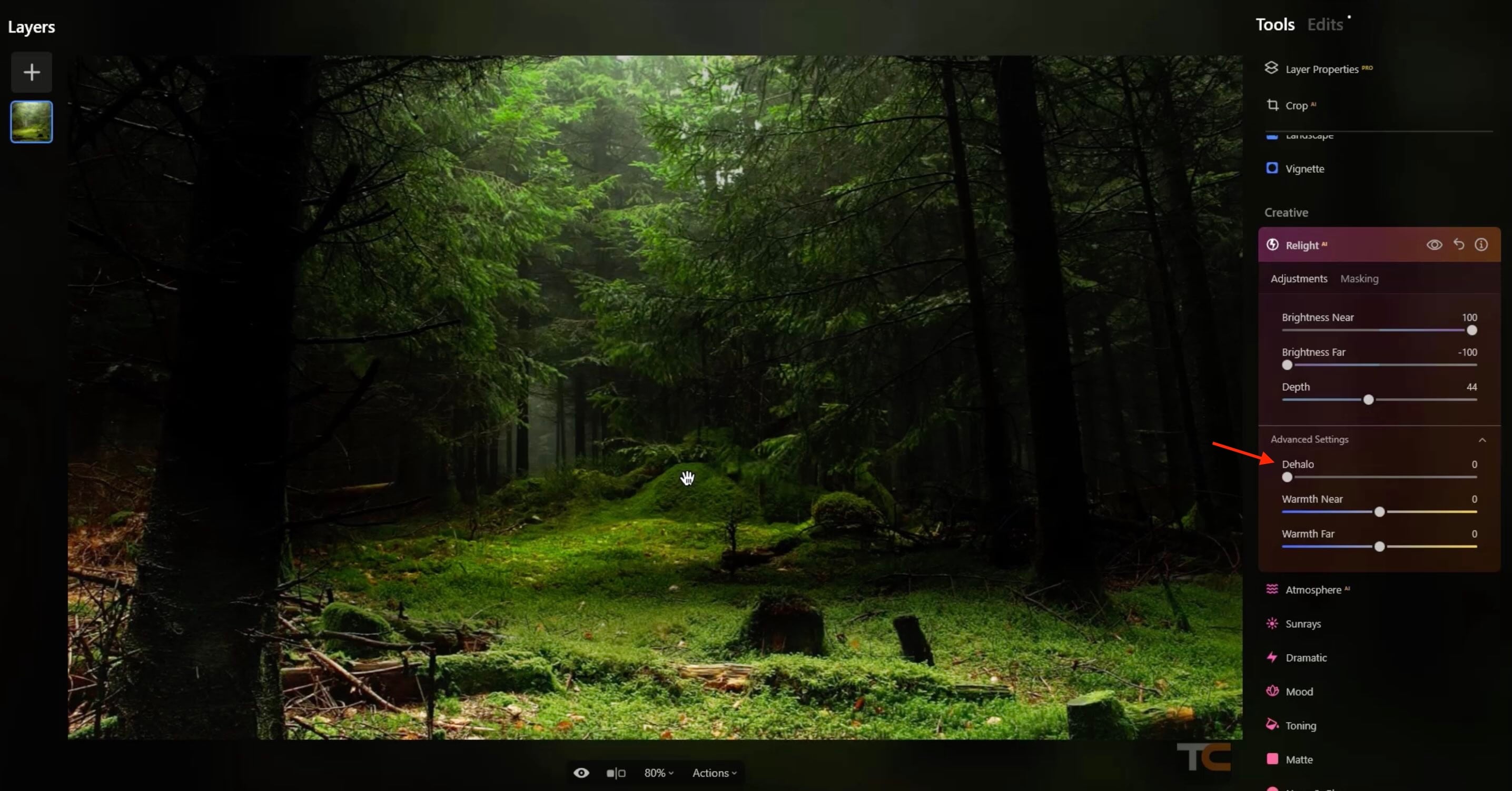 dehalo control luminar neo relight ai