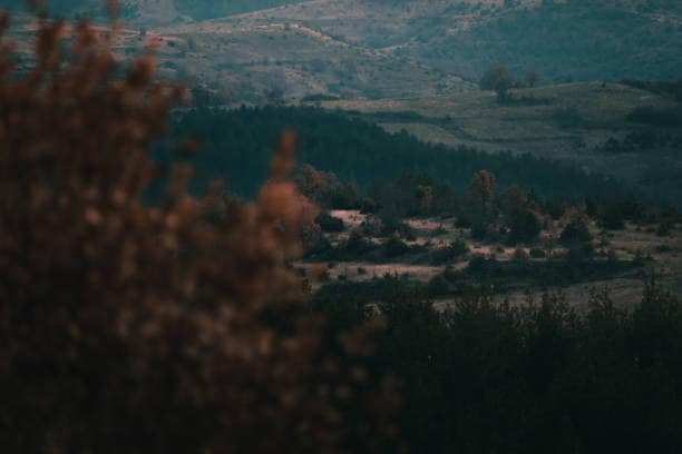 Nature LUT filter for landscapes in Filmora.