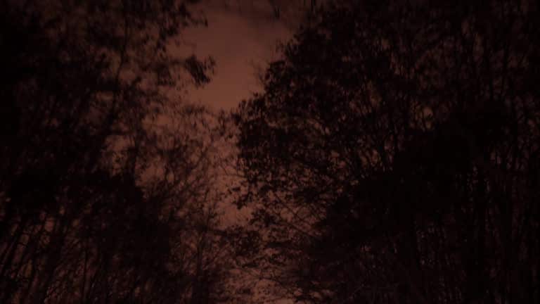 Dark cinematic LUT filter for horror effects.