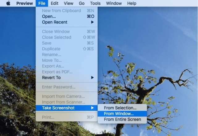 capture screen with preview on mac