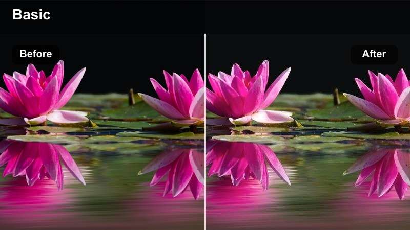 Magenta and violet color grading on a creative analytics dashboard animation